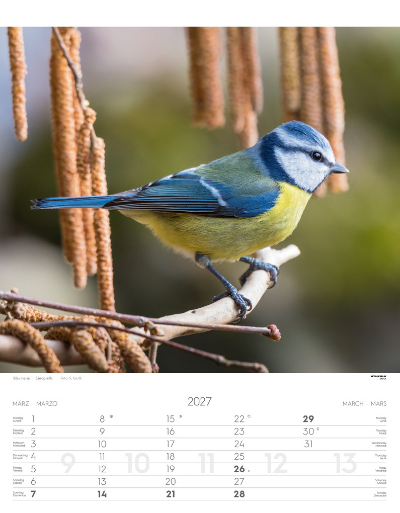 Weitere Ansicht: Tiere der Alpen - Kalender 2027