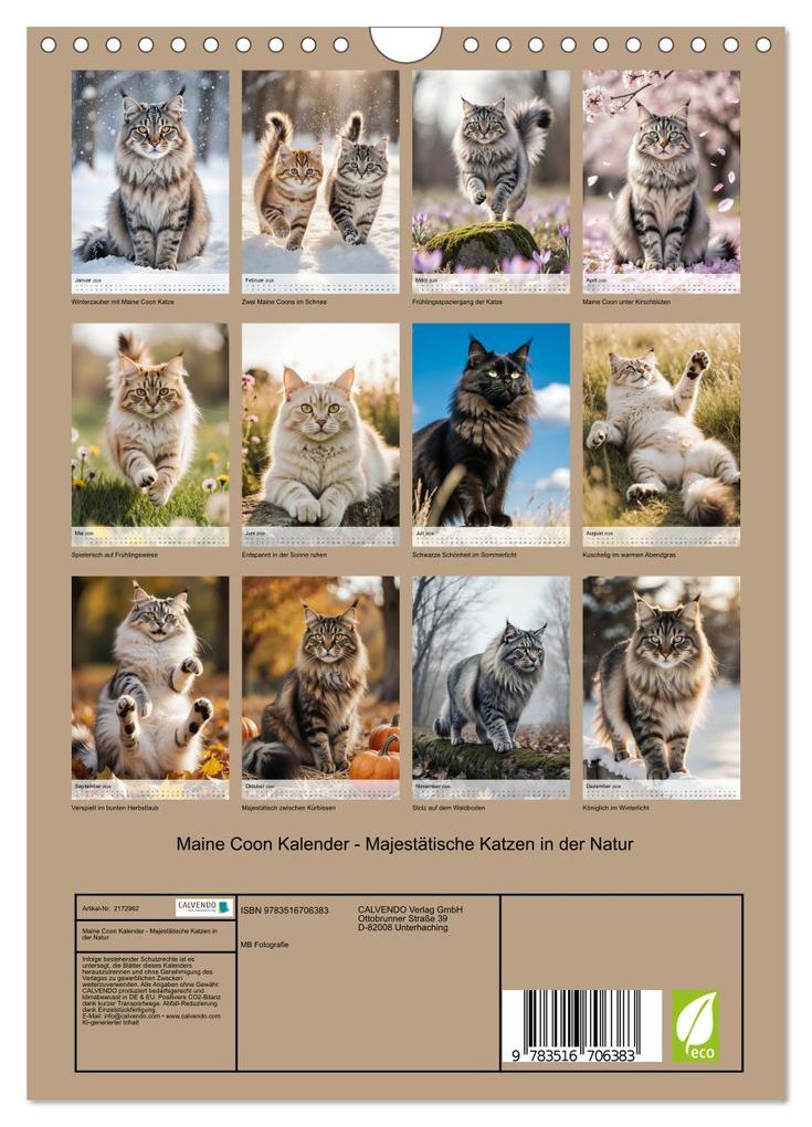 Weitere Ansicht: Maine Coon Kalender - Majestätische Katzen in der Natur (Wandkalender 2026 DIN A4 hoch), CALVENDO Monatskalender | MB Fotografie, Calvendo