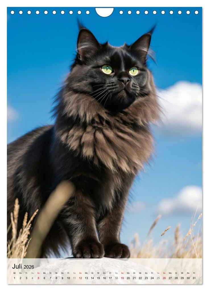 Weitere Ansicht: Maine Coon Kalender - Majestätische Katzen in der Natur (Wandkalender 2026 DIN A4 hoch), CALVENDO Monatskalender | MB Fotografie, Calvendo