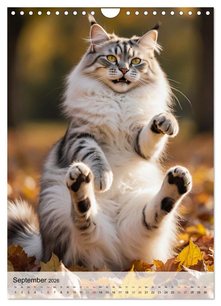 Weitere Ansicht: Maine Coon Kalender - Majestätische Katzen in der Natur (Wandkalender 2026 DIN A4 hoch), CALVENDO Monatskalender | MB Fotografie, Calvendo