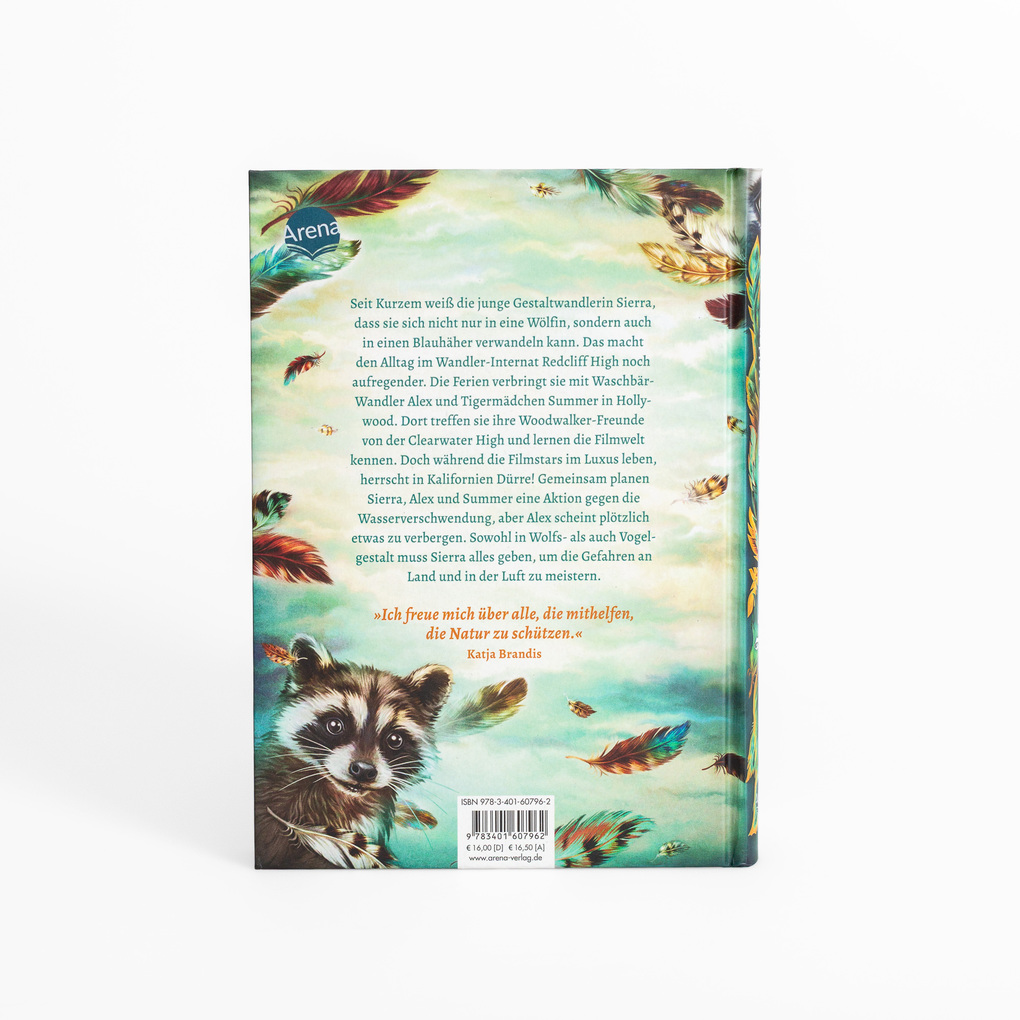 Weitere Ansicht: Windwalkers (2). Helden der Lüfte | Katja Brandis