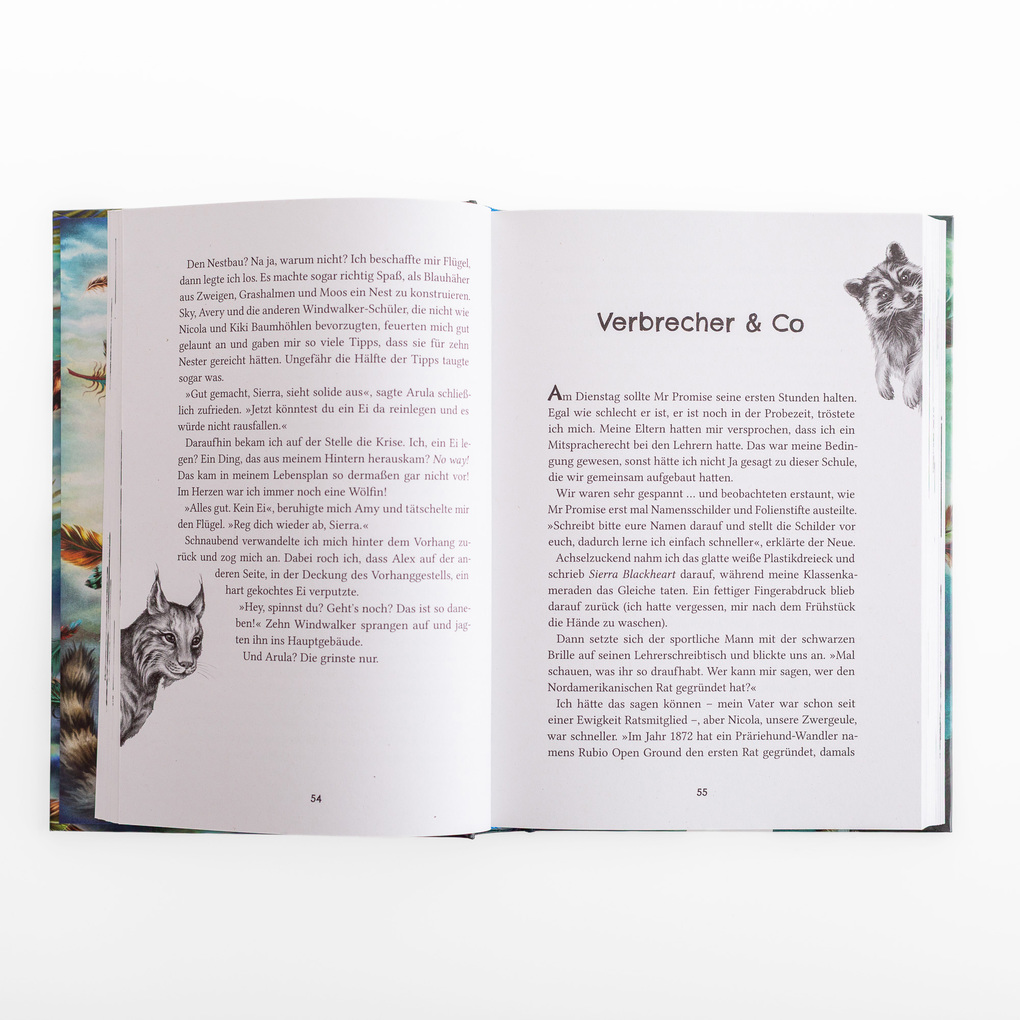 Weitere Ansicht: Windwalkers (2). Helden der Lüfte | Katja Brandis