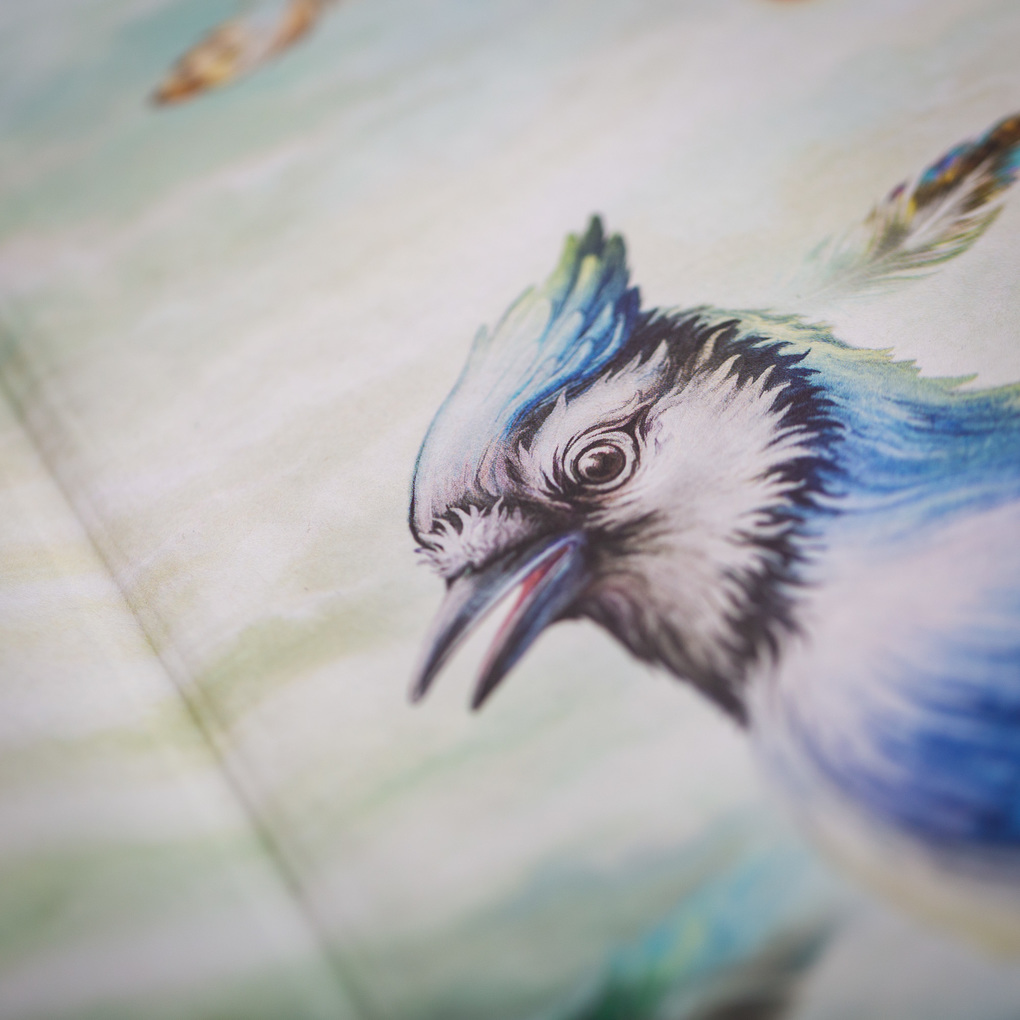 Weitere Ansicht: Windwalkers (2). Helden der Lüfte | Katja Brandis