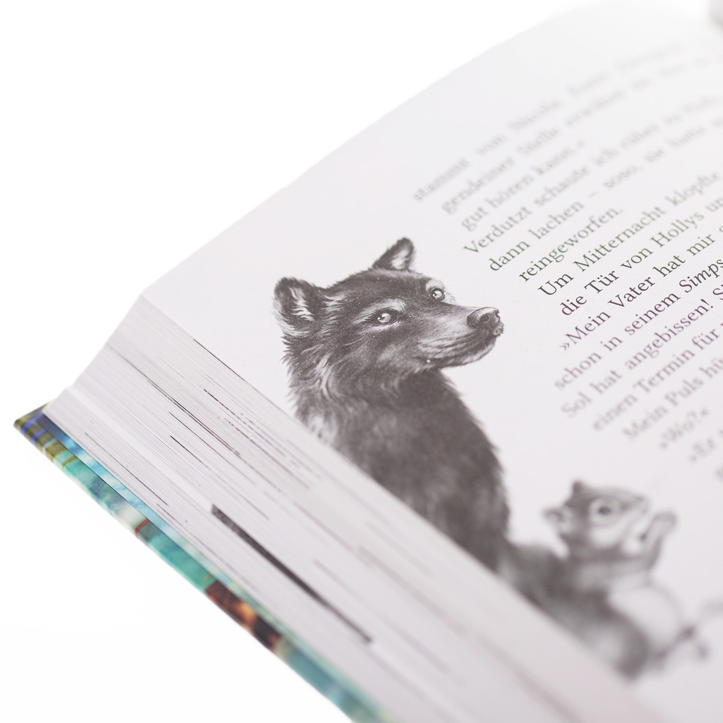 Weitere Ansicht: Windwalkers (2). Helden der Lüfte | Katja Brandis