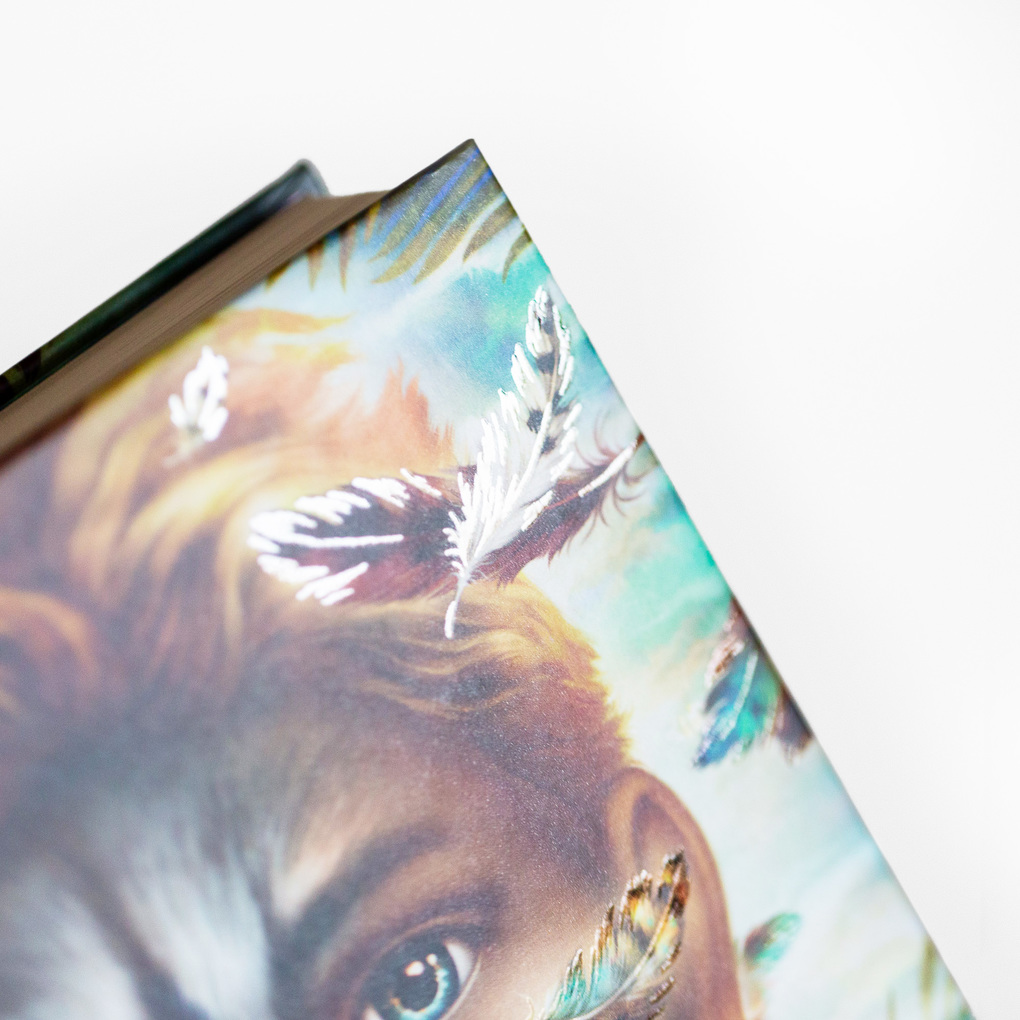 Weitere Ansicht: Windwalkers (2). Helden der Lüfte | Katja Brandis