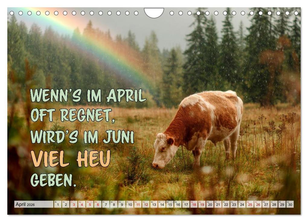 Weitere Ansicht: Bauernweisheiten - Stimmen der Natur (Wandkalender 2026 DIN A4 quer), CALVENDO Monatskalender | Melanie Viola, Calvendo