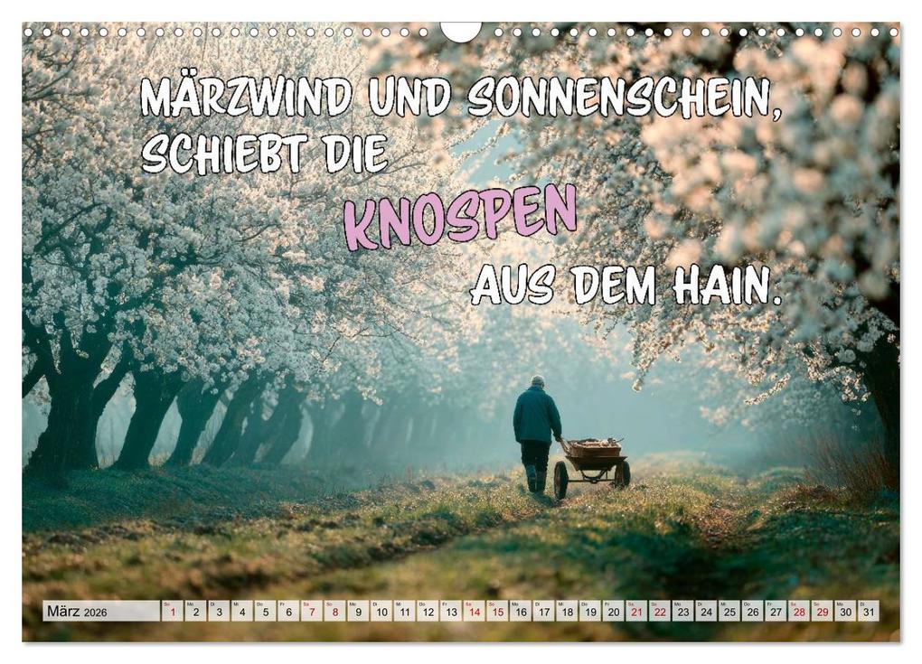 Weitere Ansicht: Bauernweisheiten - Stimmen der Natur (Wandkalender 2026 DIN A3 quer), CALVENDO Monatskalender | Melanie Viola, Calvendo