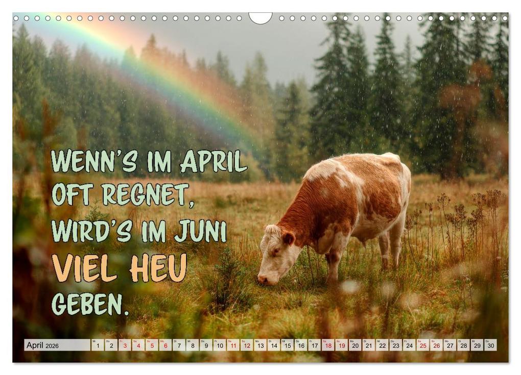 Weitere Ansicht: Bauernweisheiten - Stimmen der Natur (Wandkalender 2026 DIN A3 quer), CALVENDO Monatskalender | Melanie Viola, Calvendo