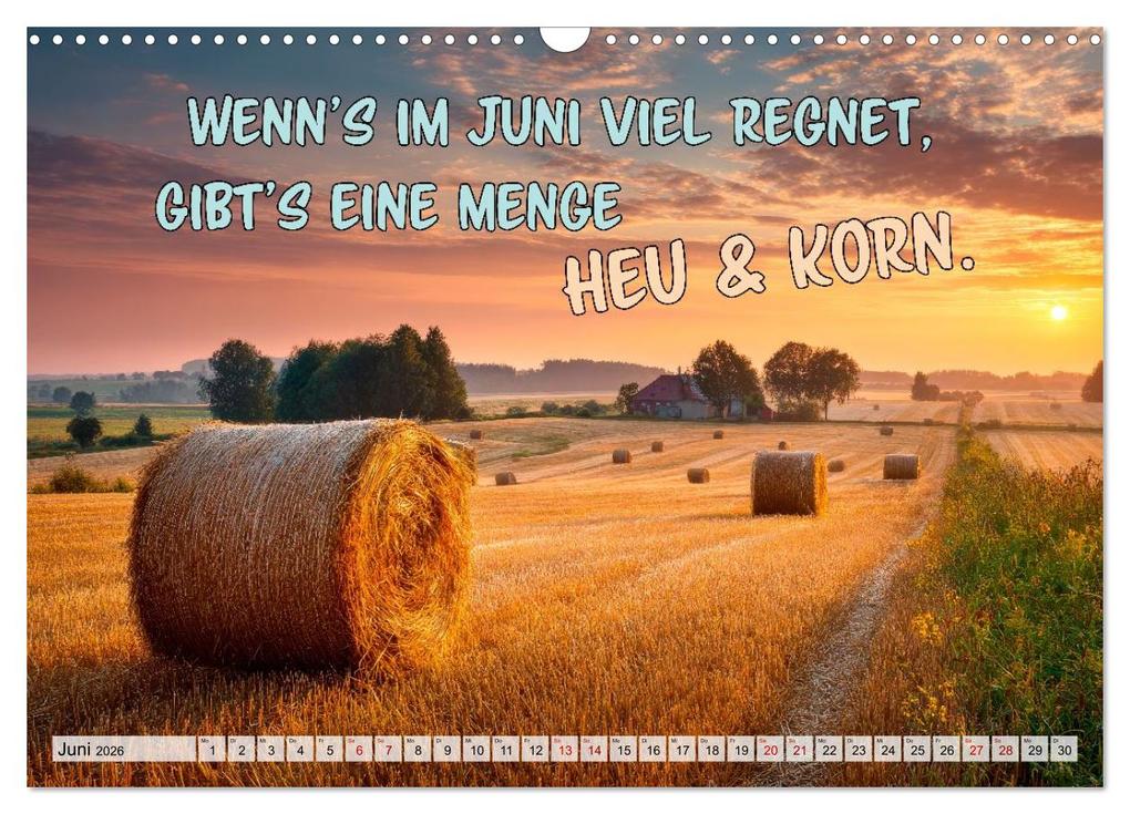 Weitere Ansicht: Bauernweisheiten - Stimmen der Natur (Wandkalender 2026 DIN A3 quer), CALVENDO Monatskalender | Melanie Viola, Calvendo