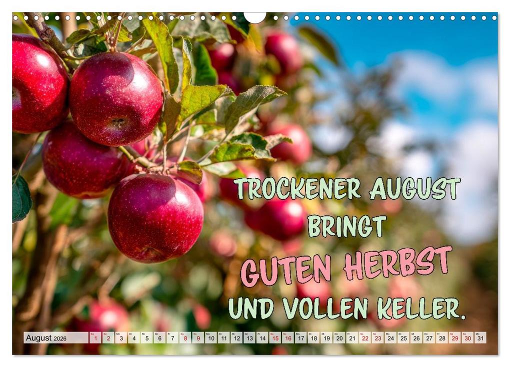 Weitere Ansicht: Bauernweisheiten - Stimmen der Natur (Wandkalender 2026 DIN A3 quer), CALVENDO Monatskalender | Melanie Viola, Calvendo