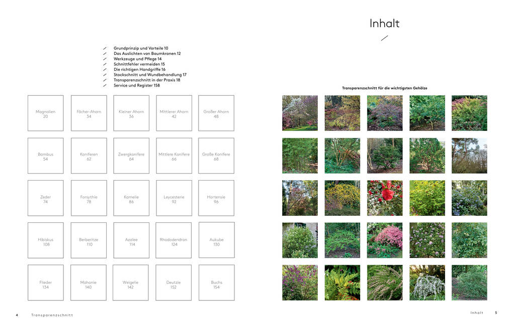 Weitere Ansicht: Transparenzschnitt | Dominique Cousin