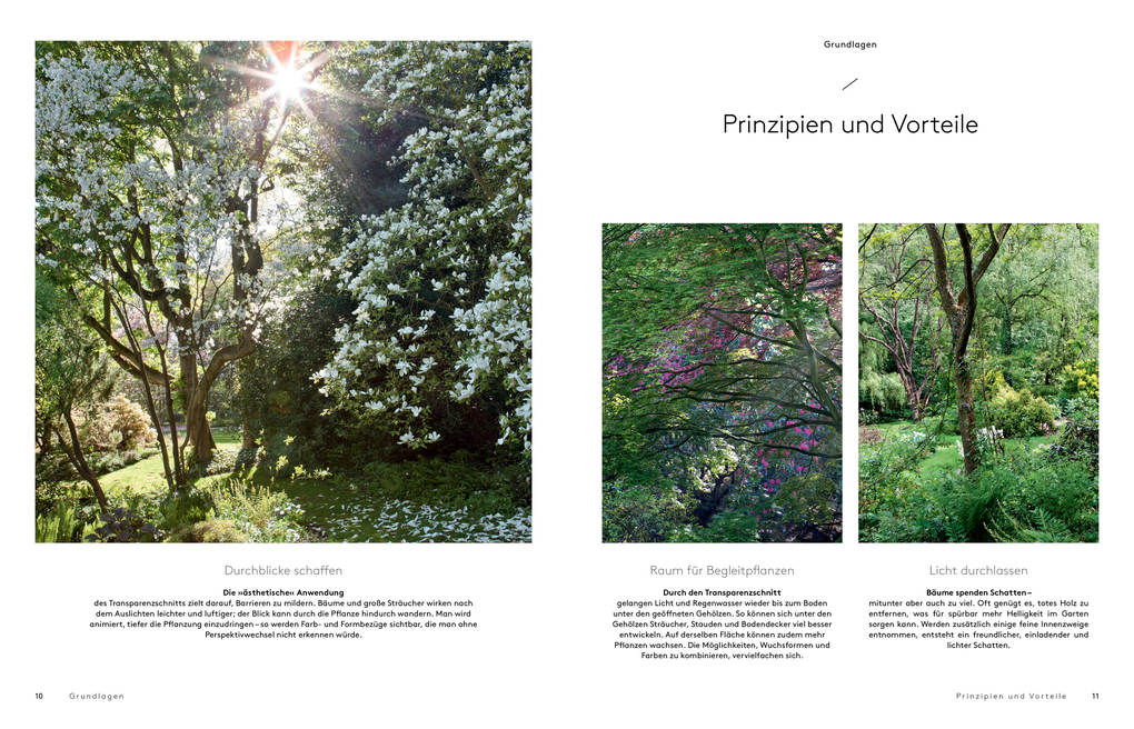 Weitere Ansicht: Transparenzschnitt | Dominique Cousin