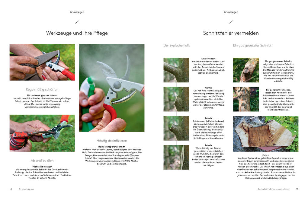 Weitere Ansicht: Transparenzschnitt | Dominique Cousin