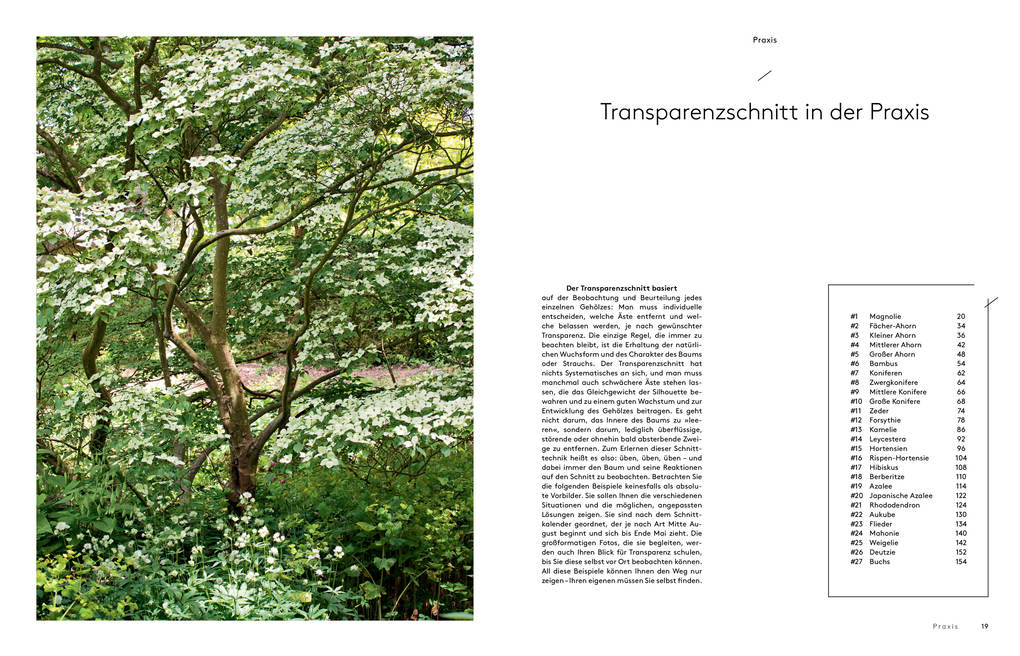 Weitere Ansicht: Transparenzschnitt | Dominique Cousin