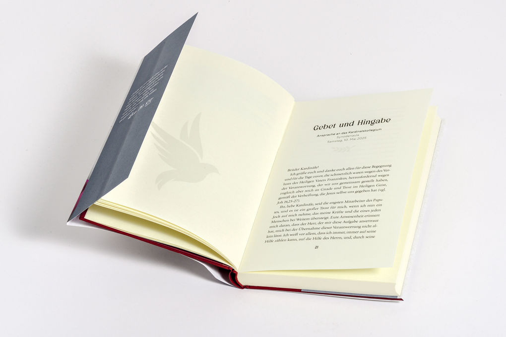 Weitere Ansicht: Frieden! | Papst Leo XIV.