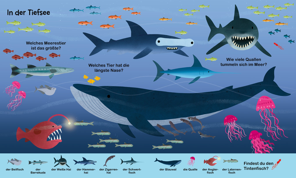 Weitere Ansicht: Meine erste Wörterwelt. Im Meer