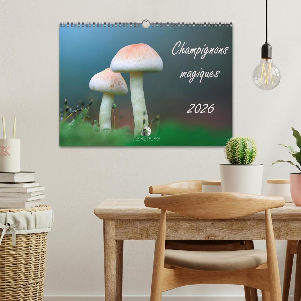 Weitere Ansicht: Champignons magiques (Calendrier mural 2026 DIN A3 vertical), CALVENDO calendrier mensuel | Thomas Martzel, Calvendo