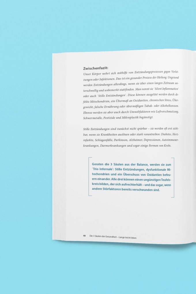 Weitere Ansicht: Die 3 Säulen der Gesundheit | Sebastian Purps-Pardigol, Stephan Bortfeldt