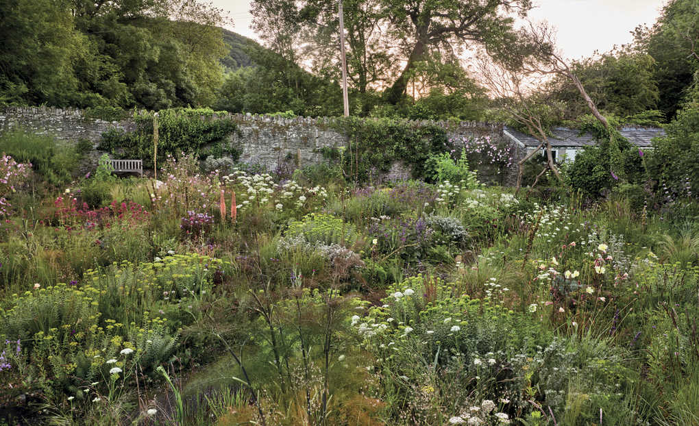 Weitere Ansicht: Pastorale Gärten | Clare Foster