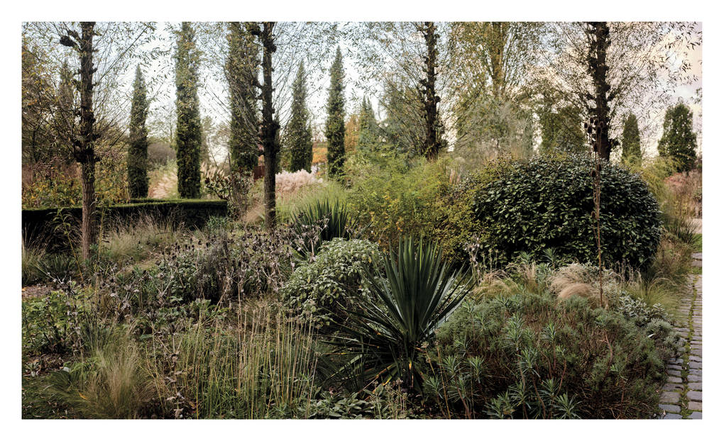 Weitere Ansicht: Pastorale Gärten | Clare Foster