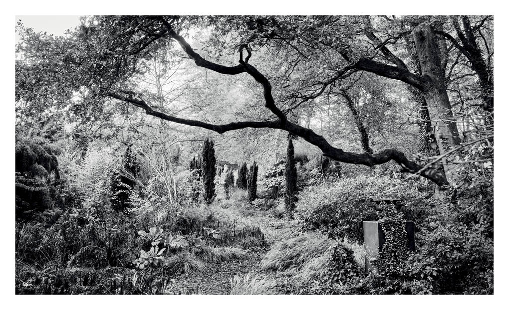 Weitere Ansicht: Pastorale Gärten | Clare Foster