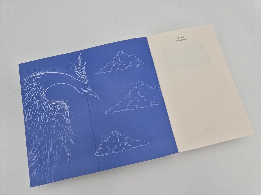 Weitere Ansicht: Sturmthron | S. L. Crest