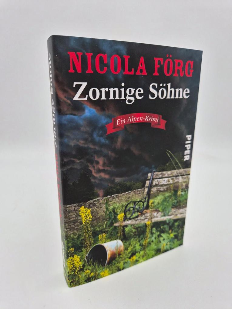 Weitere Ansicht: Zornige Söhne | Nicola Förg