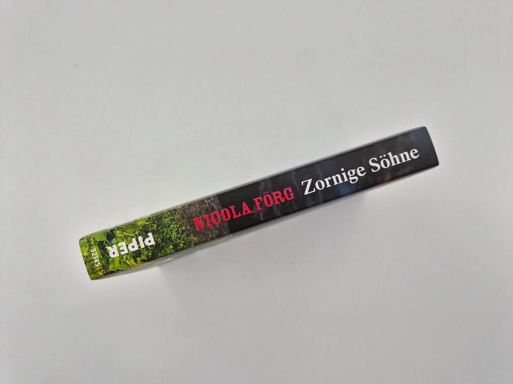 Weitere Ansicht: Zornige Söhne | Nicola Förg