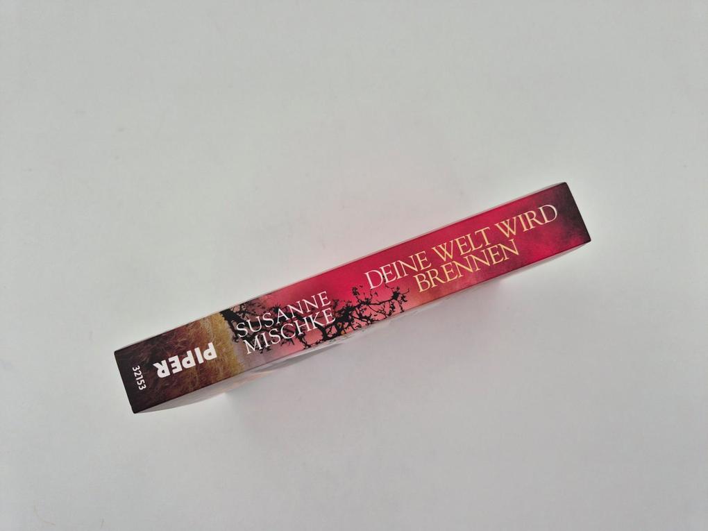 Weitere Ansicht: Deine Welt wird brennen | Susanne Mischke