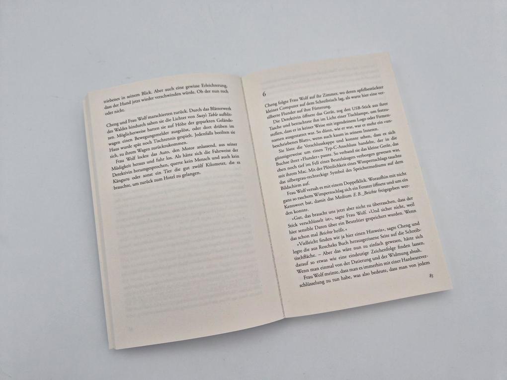 Weitere Ansicht: Gemälde eines Mordes | Heinrich Steinfest