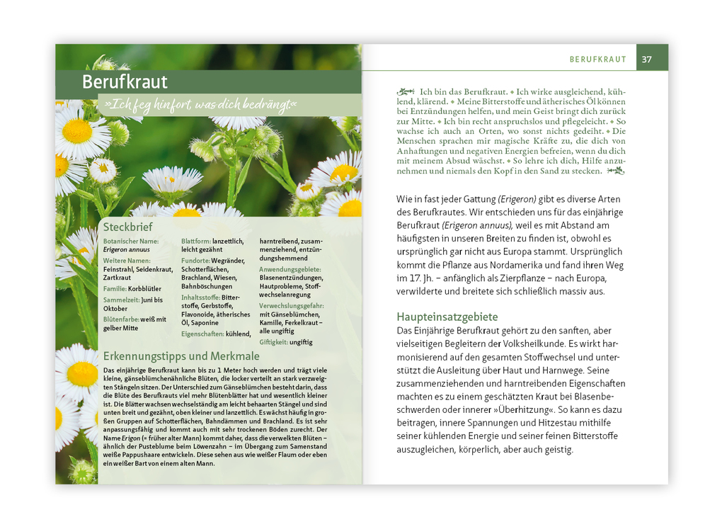 Weitere Ansicht: Essbare Heilkräuter und Wildpflanzen. Kompakt-Ratgeber | Philip Kunisch