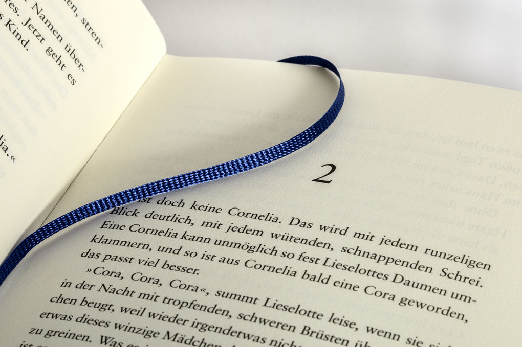 Weitere Ansicht: Die Riesinnen | Hannah Häffner