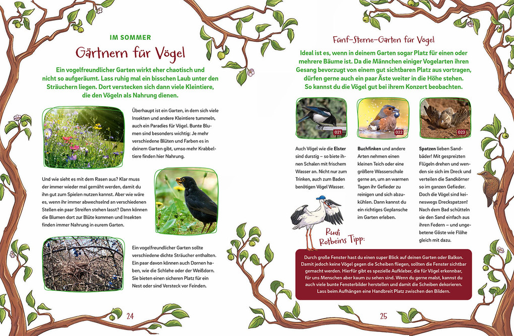 Weitere Ansicht: Arthur & Agathe Amsel - Abenteuer am Futterhaus | Nicole Jüngling