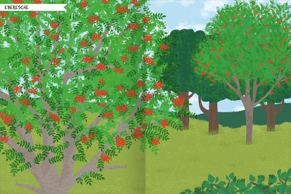 Weitere Ansicht: Naturforscher-Kids - Stickerheft Bäume