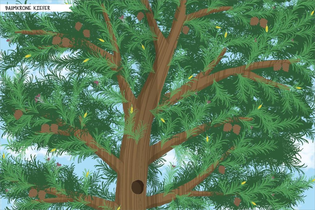 Weitere Ansicht: Naturforscher-Kids - Stickerheft Bäume