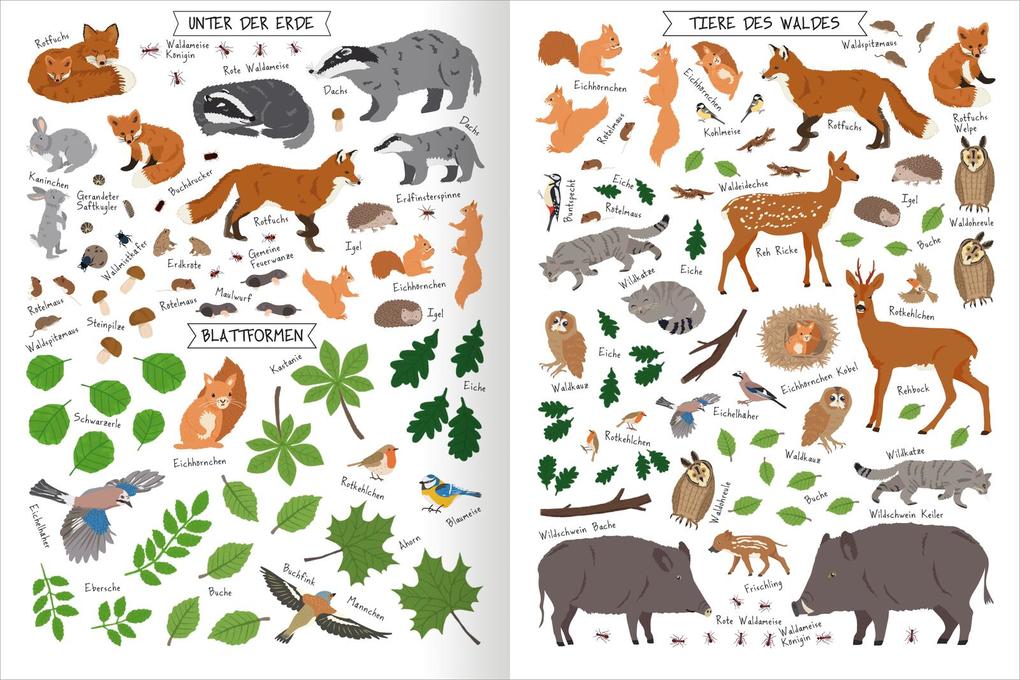 Weitere Ansicht: Naturforscher-Kids - Stickerheft Bäume