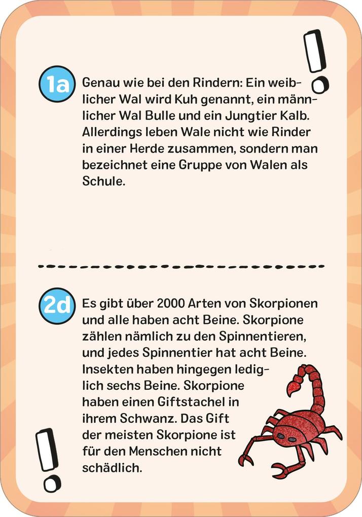 Weitere Ansicht: Das wilde Tier-Quiz | Philip Kiefer