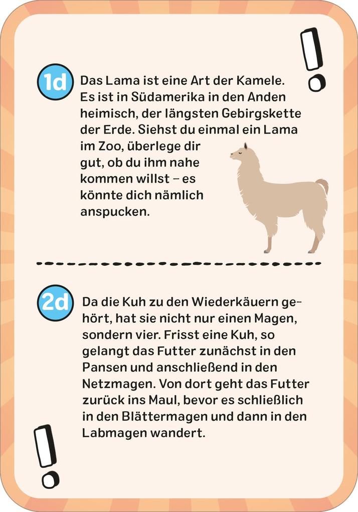 Weitere Ansicht: Das wilde Tier-Quiz | Philip Kiefer