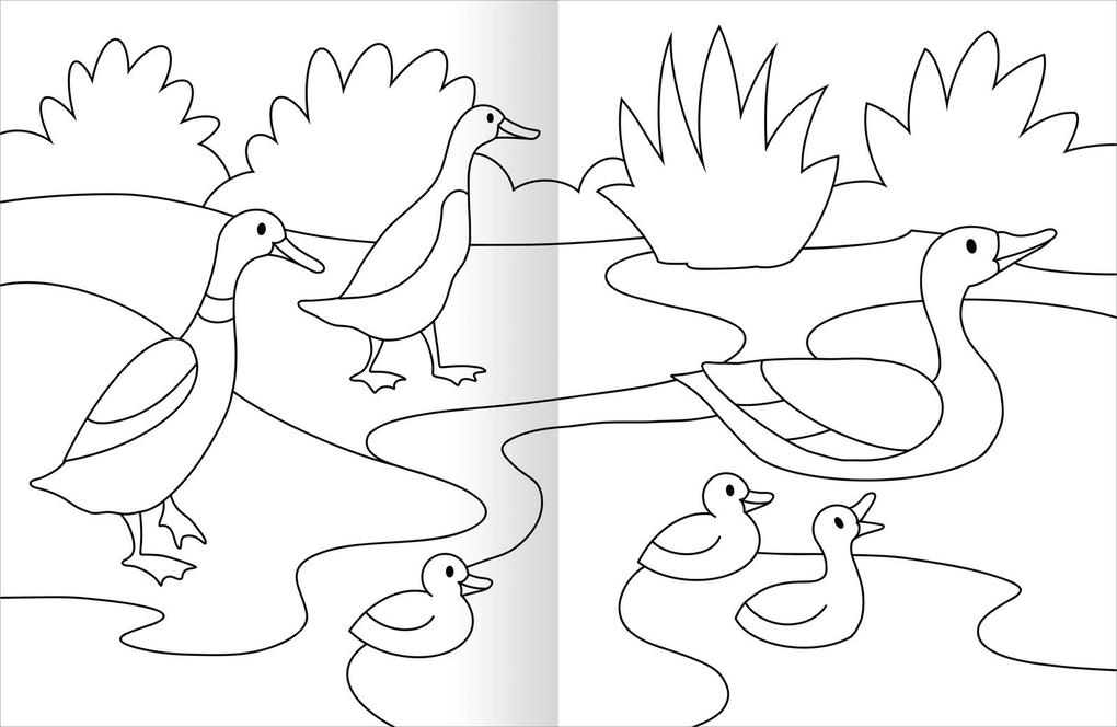 Weitere Ansicht: Malbuch Tiere