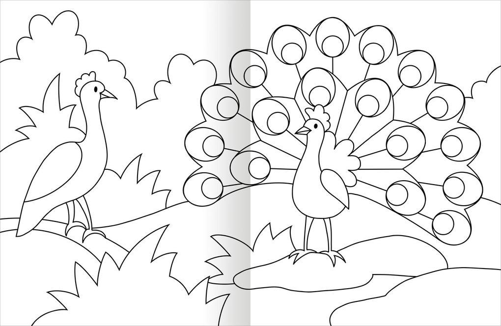 Weitere Ansicht: Malbuch Tiere