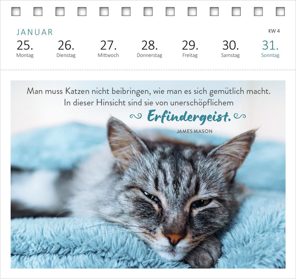 Weitere Ansicht: Postkartenkalender Katzenweisheiten 2027