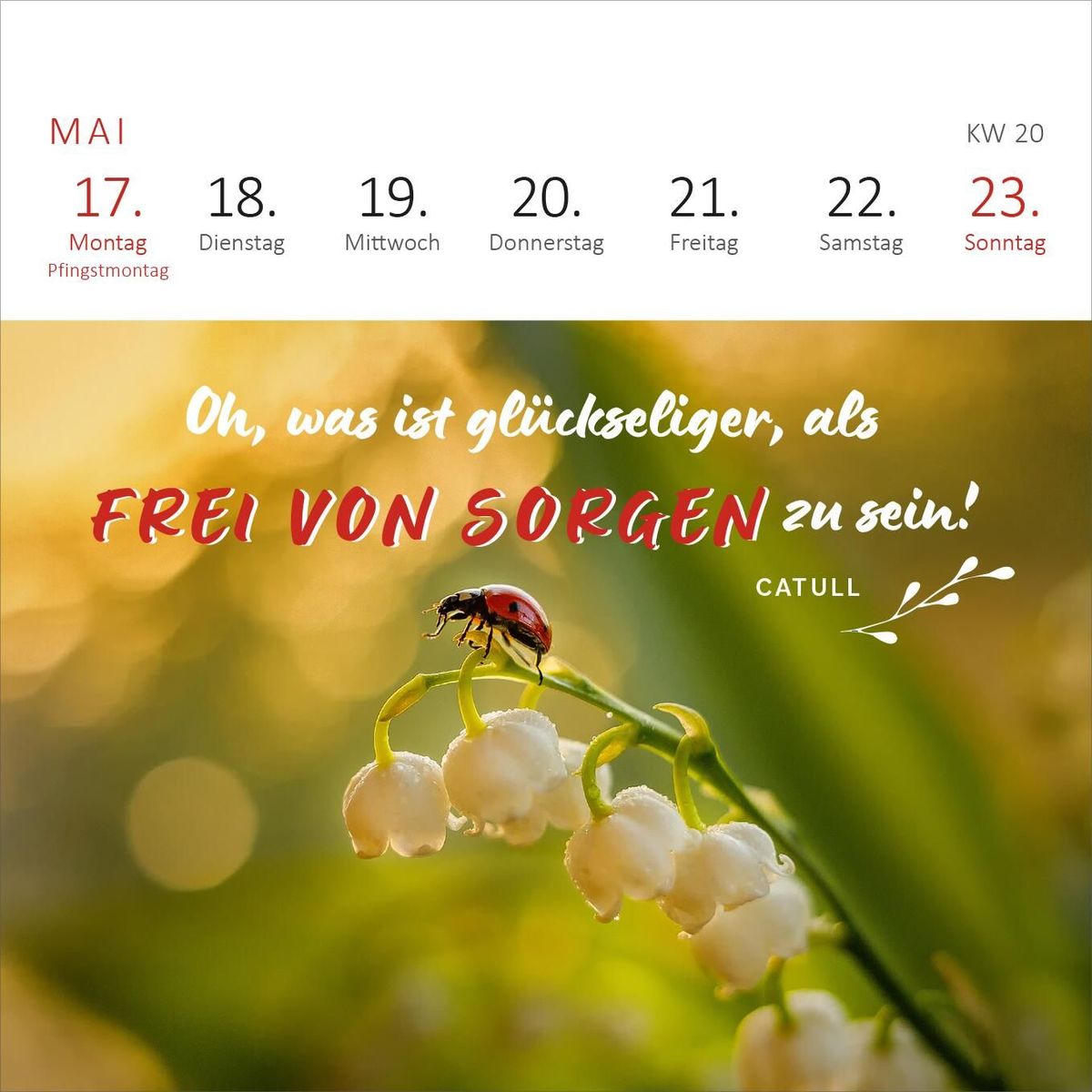 Weitere Ansicht: Mini-Wochenkalender 365 Tage Sonne im Herzen 2027