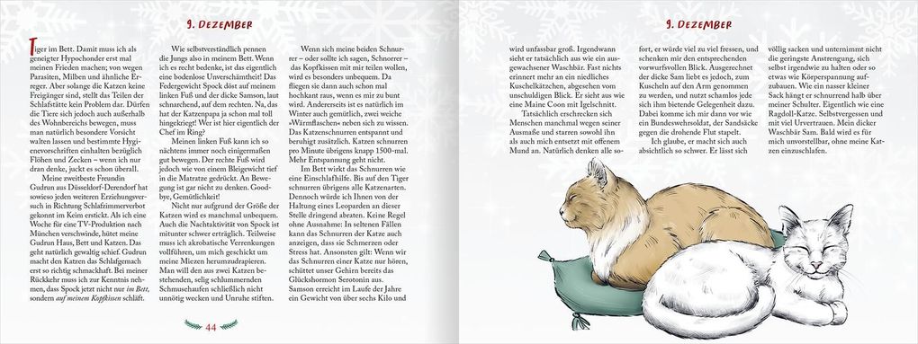Weitere Ansicht: Pfoten vom Tannenbaum | Hape Kerkeling