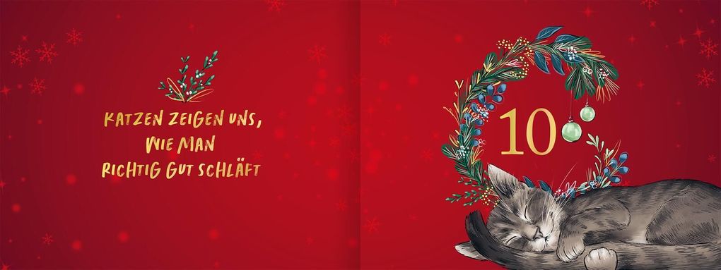 Weitere Ansicht: Pfoten vom Tannenbaum | Hape Kerkeling
