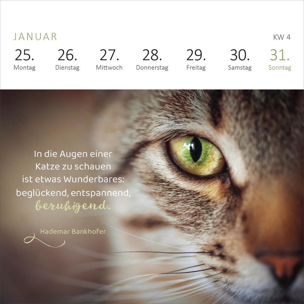 Weitere Ansicht: Mini-Wochenkalender Katzenweisheiten 2027