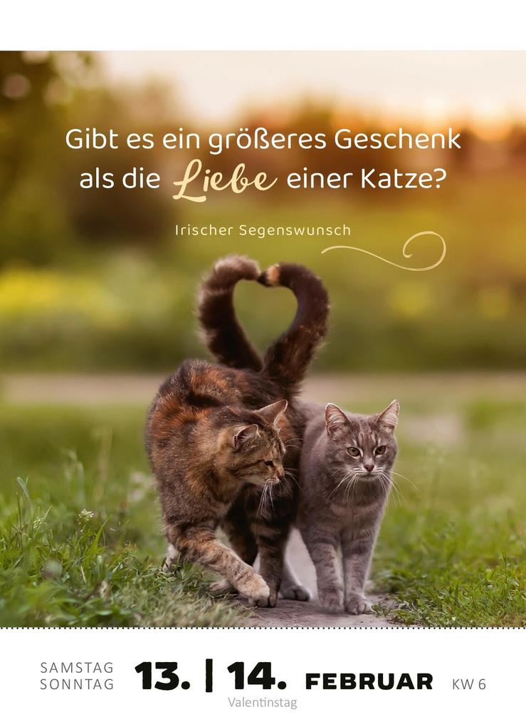 Weitere Ansicht: Abreißkalender Katzenweisheiten 2027