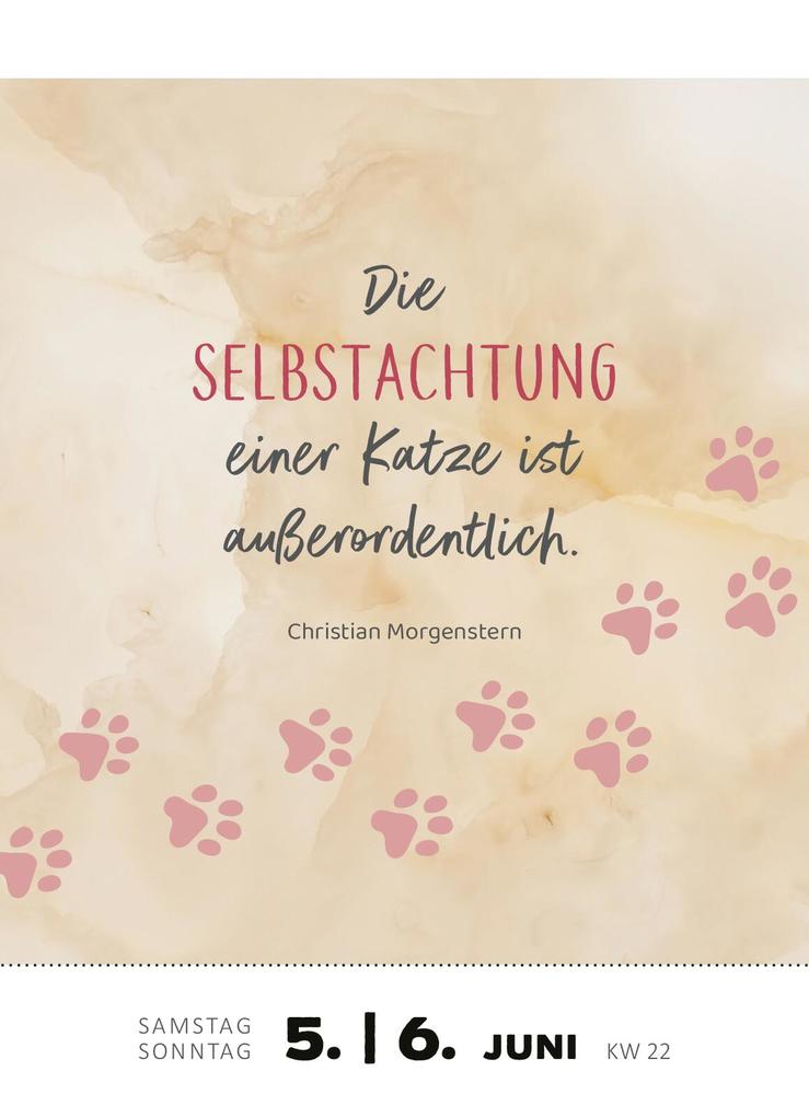 Weitere Ansicht: Abreißkalender Katzenweisheiten 2027