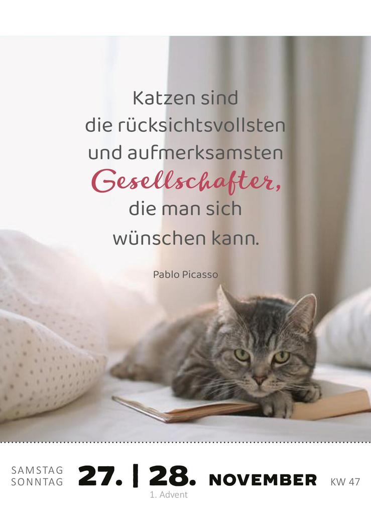 Weitere Ansicht: Abreißkalender Katzenweisheiten 2027