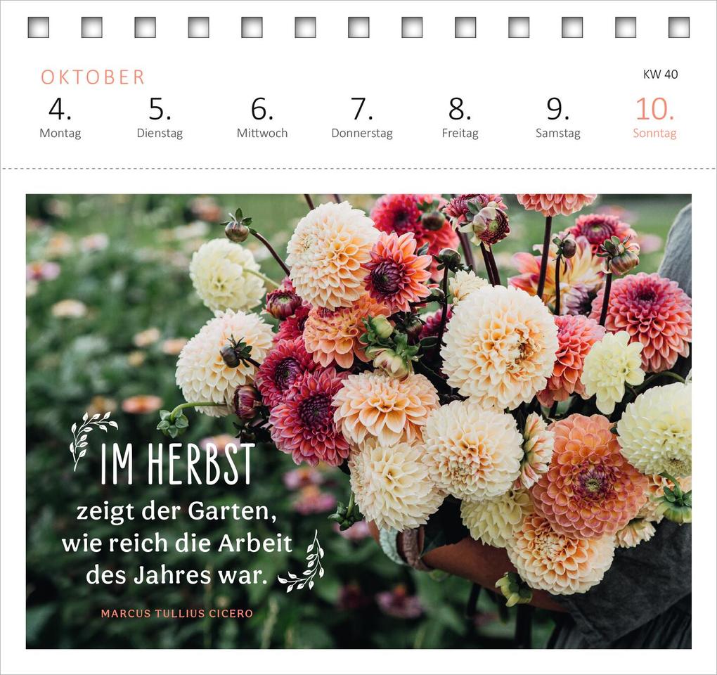 Weitere Ansicht: Postkartenkalender Gartenglück 2027