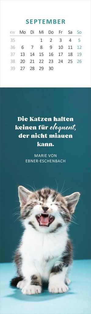 Weitere Ansicht: Lesezeichenkalender Katzenglück 2027